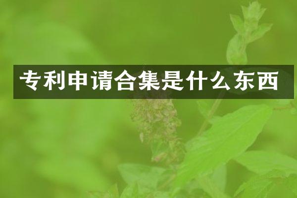 专利申请是什么东西