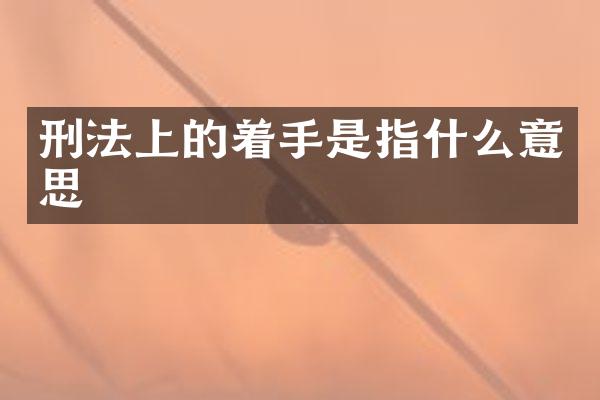 刑法上的着手是指什么意思