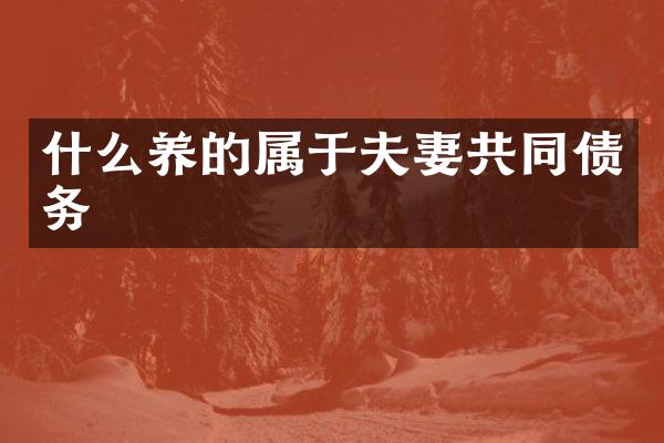 什么养的属于夫妻共同债务