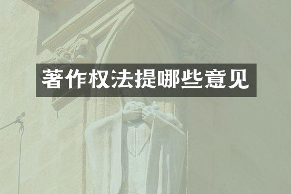 著作权法提哪些意见