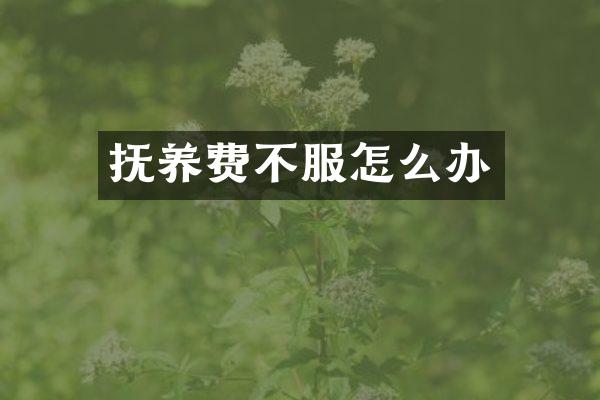 抚养费不服怎么办