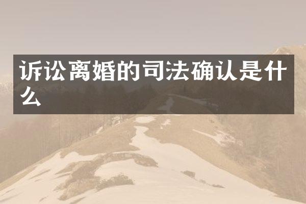 诉讼离婚的司法确认是什么