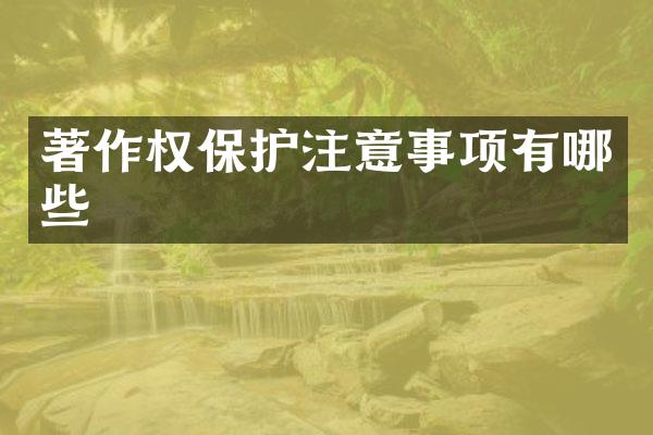 著作权保护注意事项有哪些