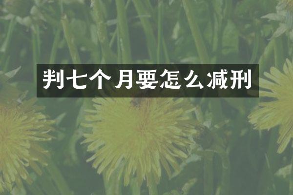 判七个月要怎么减刑