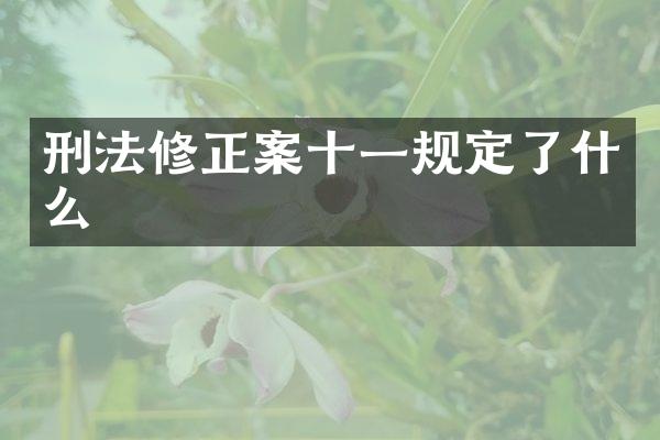刑法修正案十一规定了什么