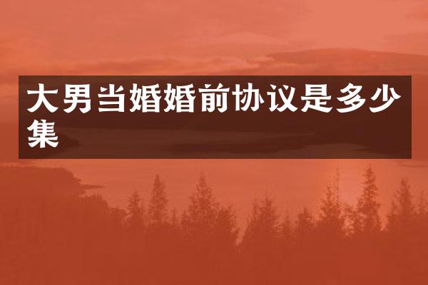大男当婚婚前协议是多少集