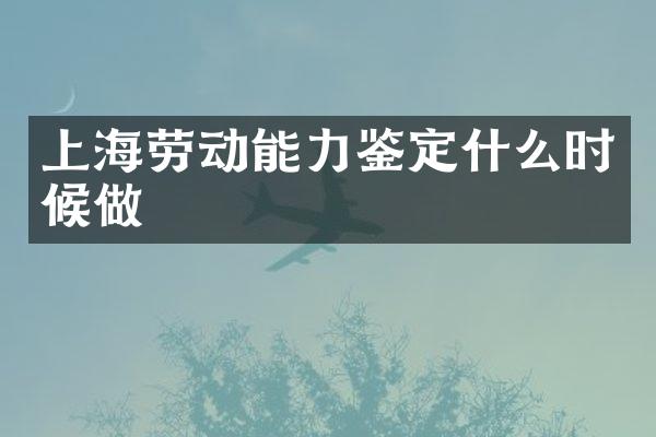 上海劳动能力鉴定什么时候做