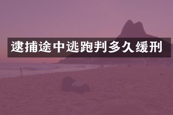逮捕途中逃跑判多久缓刑