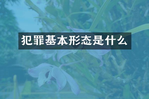 犯罪基本形态是什么