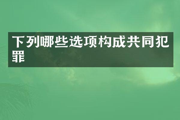 下列哪些选项构成共同犯罪