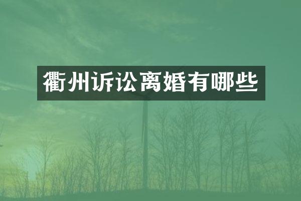 衢州诉讼离婚有哪些