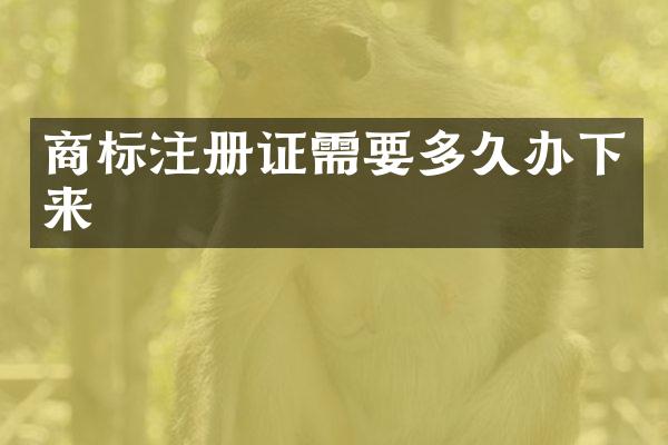 商标注册证需要多久办下来