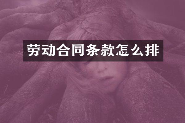 劳动合同条款怎么排