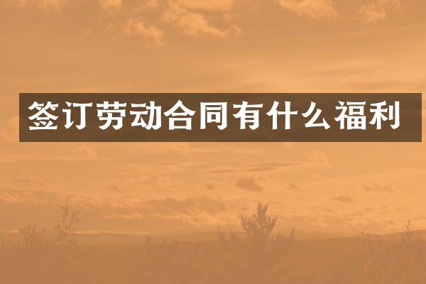 签订劳动合同有什么福利