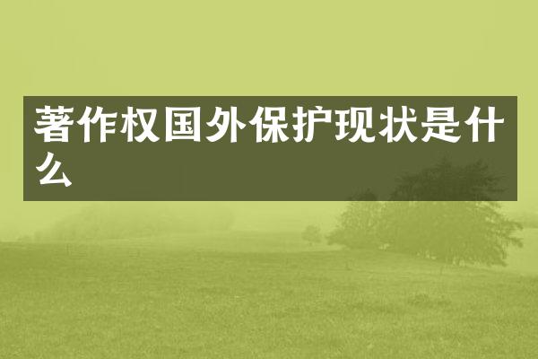 著作权国外保护现状是什么