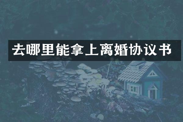 去哪里能拿上离婚协议书