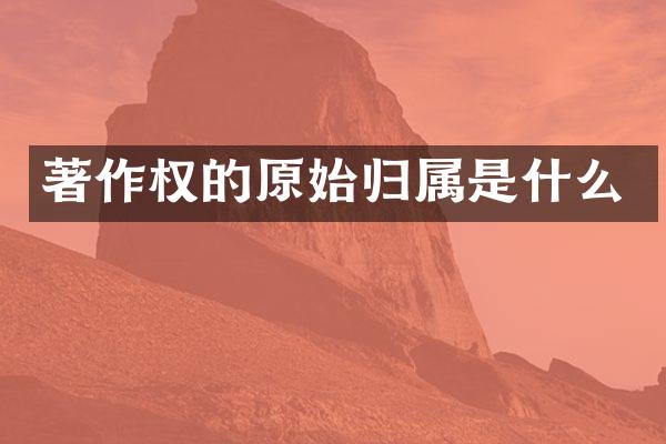 著作权的原始归属是什么