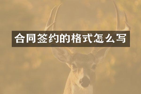 合同签约的格式怎么写