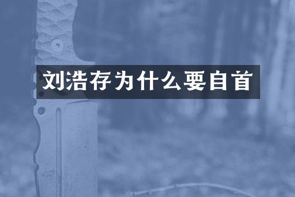 刘浩存为什么要自首