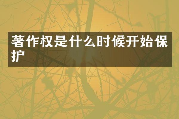 著作权是什么时候开始保护