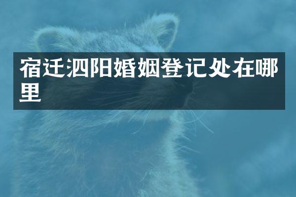 宿迁泗阳婚姻登记处在哪里