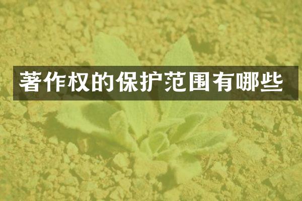 著作权的保护范围有哪些