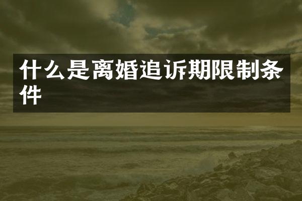 什么是离婚追诉期限制条件