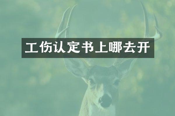 工伤认定书上哪去开