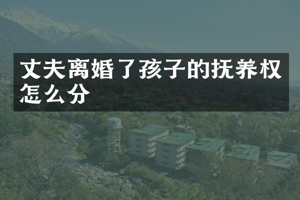 丈夫离婚了孩子的抚养权怎么分