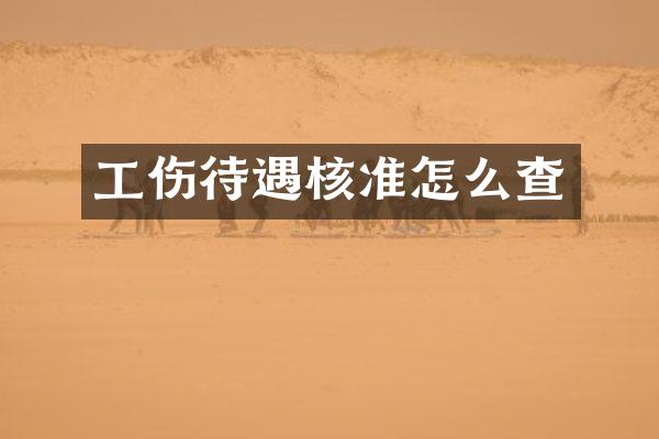 工伤待遇核准怎么查