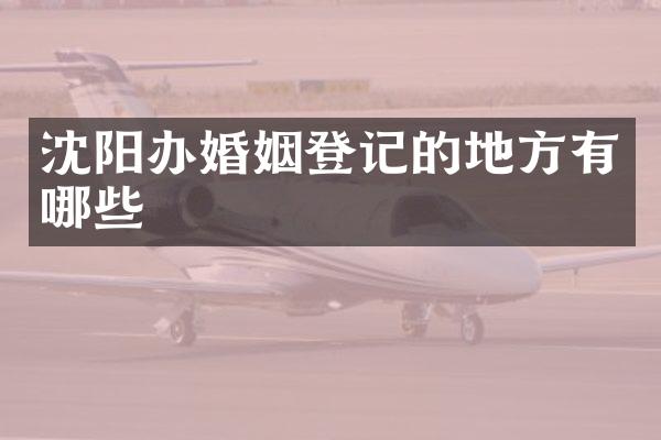 沈阳办婚姻登记的地方有哪些