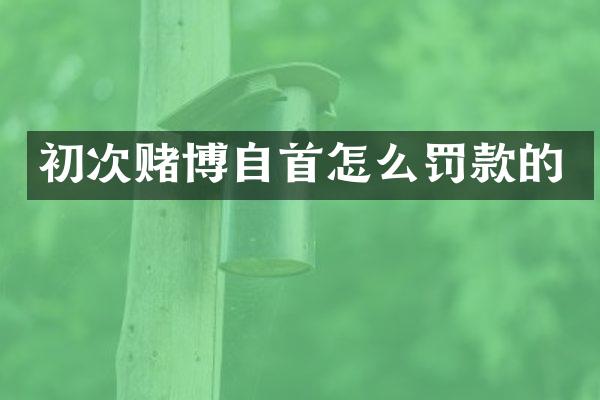 初次自首怎么罚款的