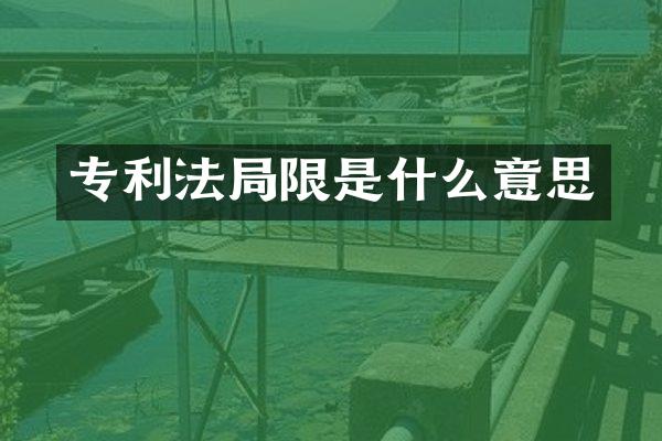 专利法局限是什么意思