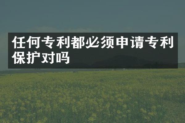 任何专利都必须申请专利保护对吗