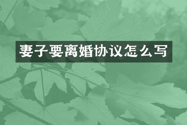 妻子要离婚协议怎么写