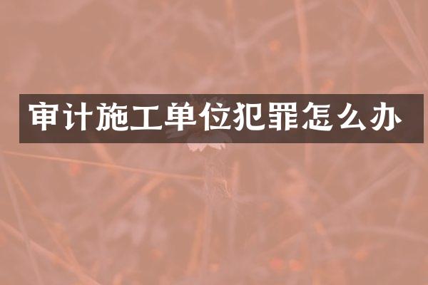 审计施工单位犯罪怎么办