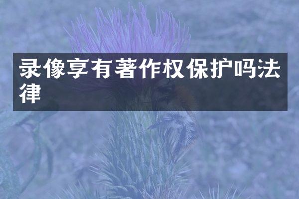 录像享有著作权保护吗法律