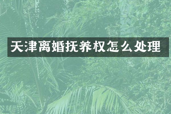 天津离婚抚养权怎么处理