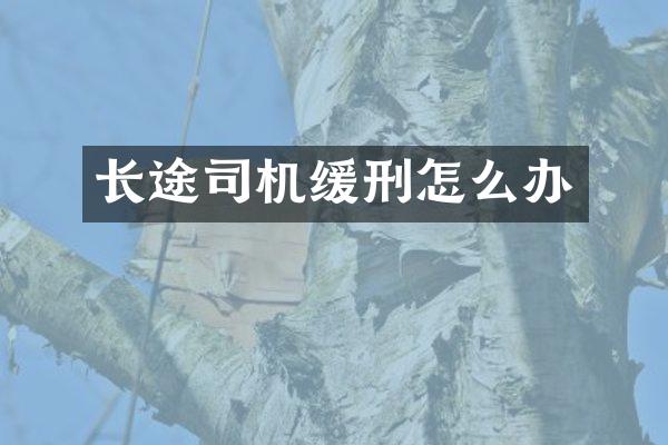 长途司机缓刑怎么办
