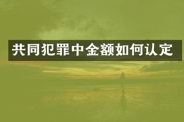 共同犯罪中金额如何认定
