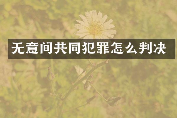 无意间共同犯罪怎么判决