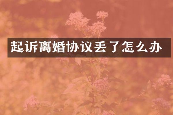 起诉离婚协议丢了怎么办