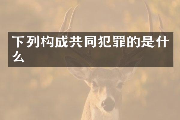 下列构成共同犯罪的是什么