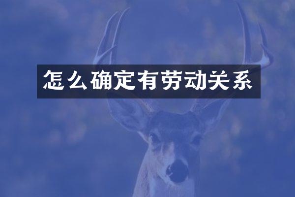 怎么确定有劳动关系