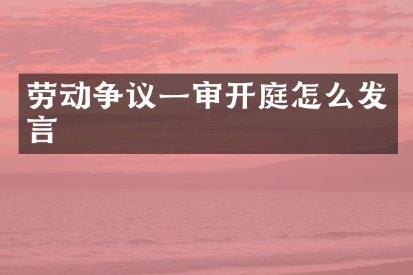 劳动争议一审开庭怎么发言