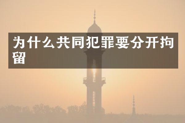 为什么共同犯罪要分开拘留