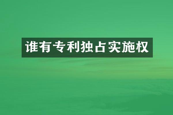 谁有专利独占实施权