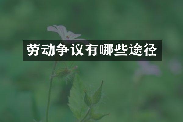 劳动争议有哪些途径