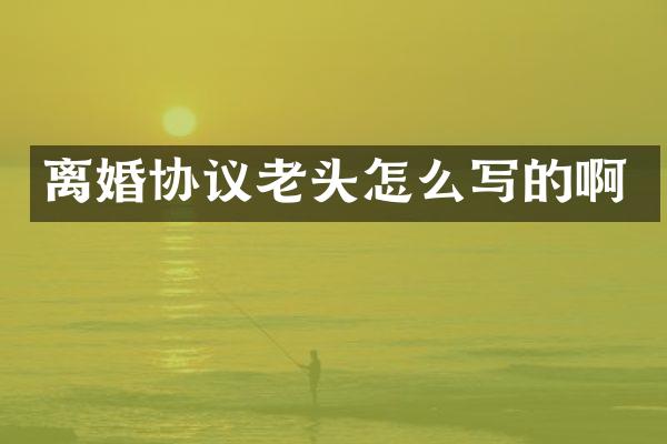 离婚协议老头怎么写的啊