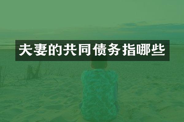 夫妻的共同债务指哪些